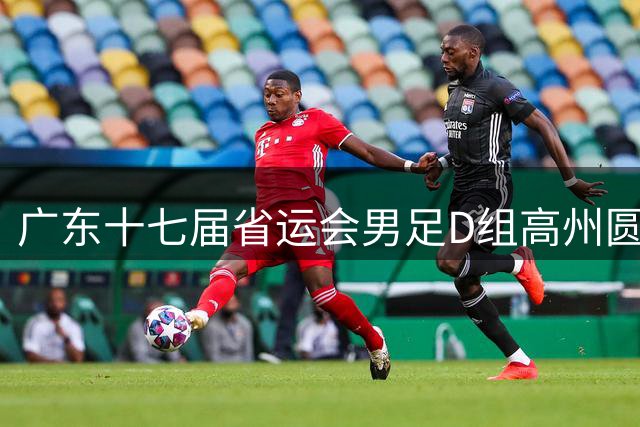 广东十七届省运会男足D组高州圆满落幕